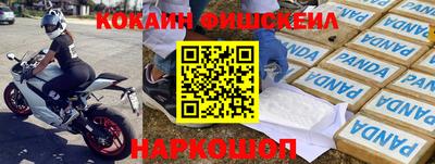 спиды Кингисепп