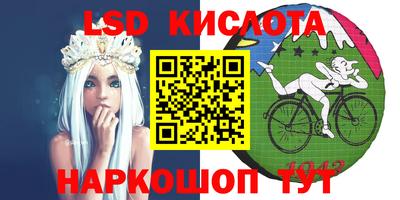спиды Кингисепп