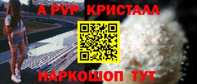 спиды Кингисепп