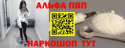 спиды Кингисепп