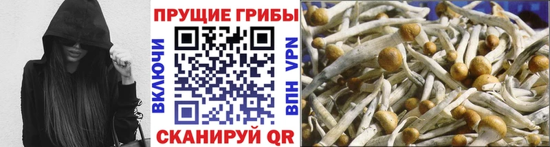 Псилоцибиновые грибы мицелий  OMG tor  Ливны 