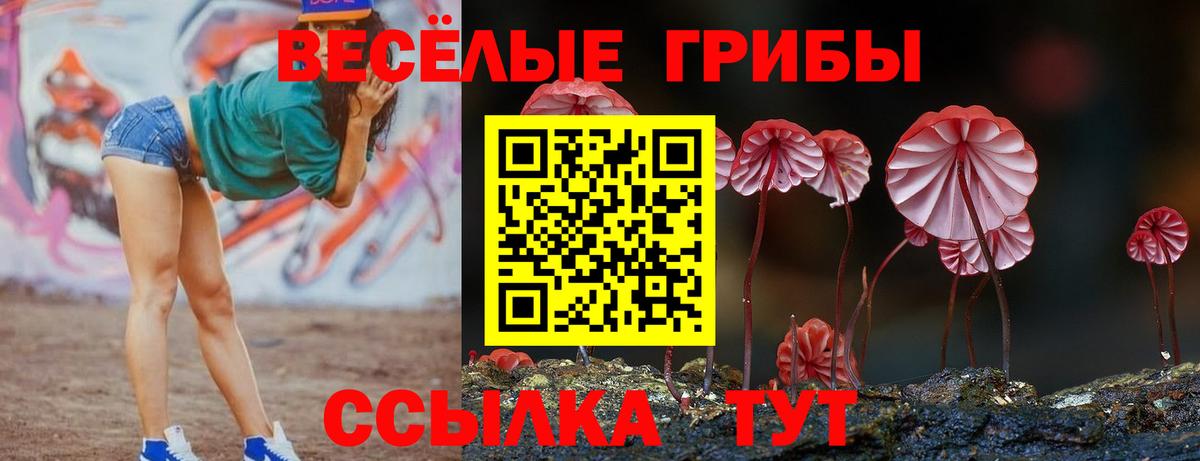Галлюциногенные грибы Psilocybe  Псилоцибиновые грибы Magic Shrooms  Ливны  Вход с VPN 