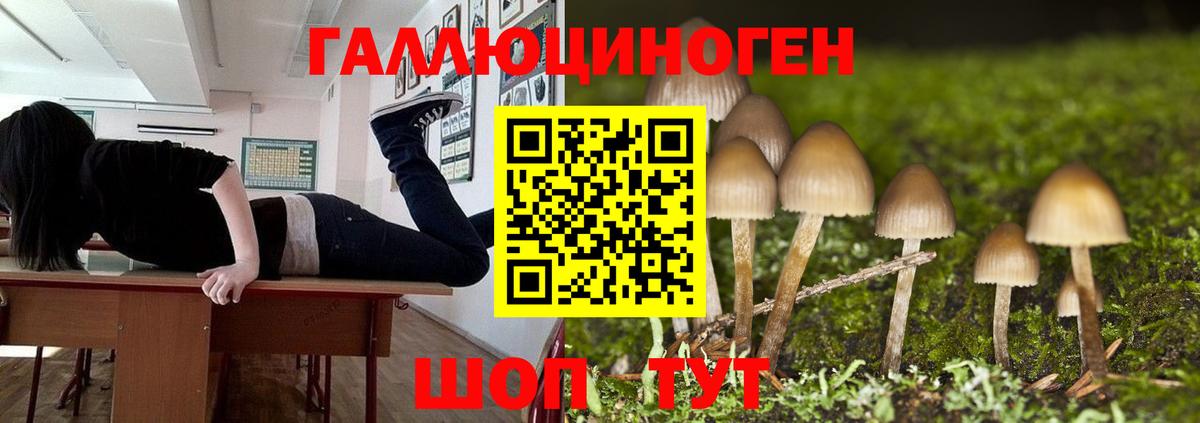 Галлюциногенные грибы GOLDEN TEACHER Ливны